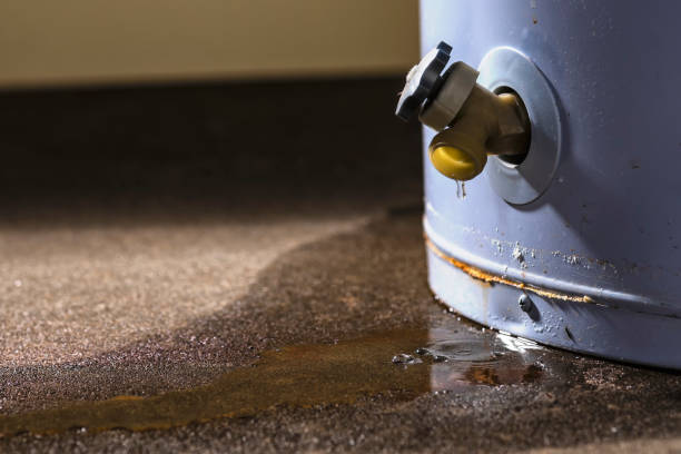 Best Water damage restoration near me  in Radisson, NY