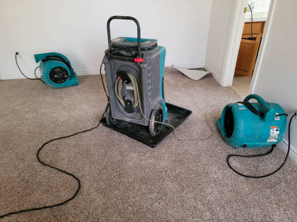 Best Residential water damage restoration  in Radisson, NY