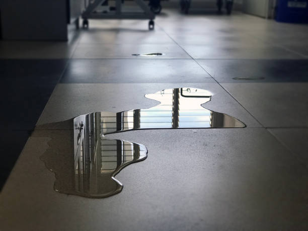 Best Water damage restoration process  in Radisson, NY