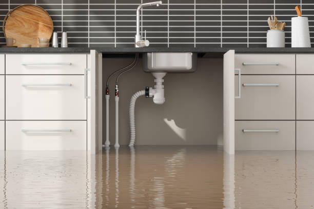 Best Flood damage cleanup  in Radisson, NY