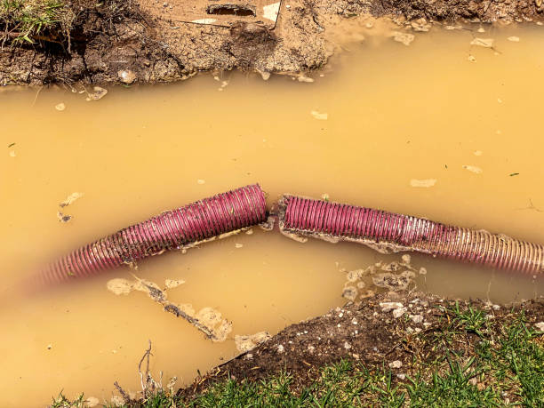 Best 24/7 water damage repair  in Radisson, NY