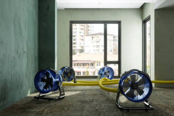  Radisson, NY Water damage restoration Pros